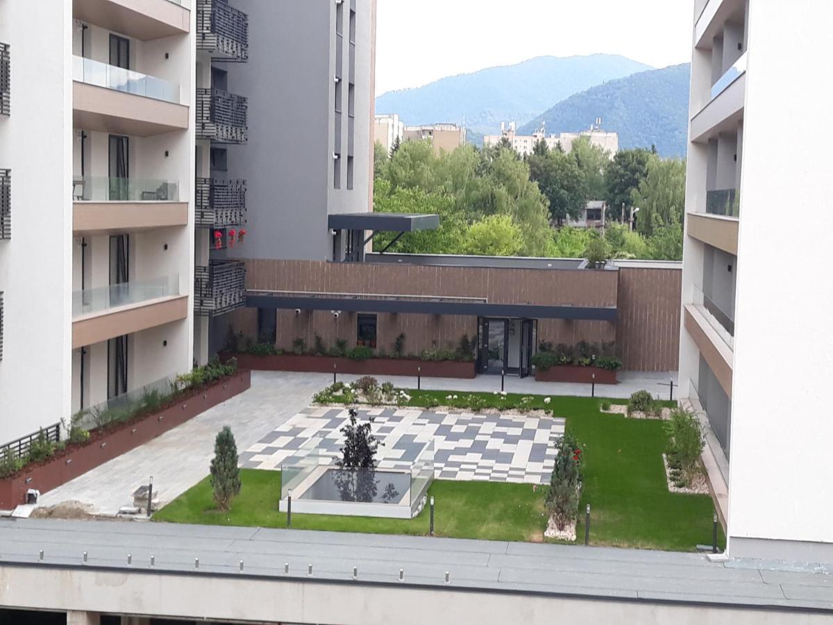 Sweet Butterflies * Brasov