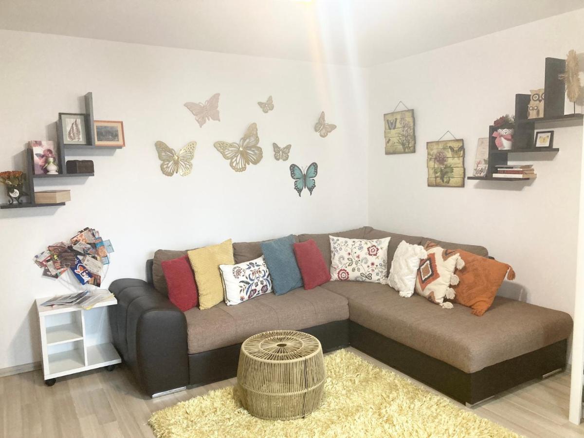 Sweet Butterflies Appartamento Braşov