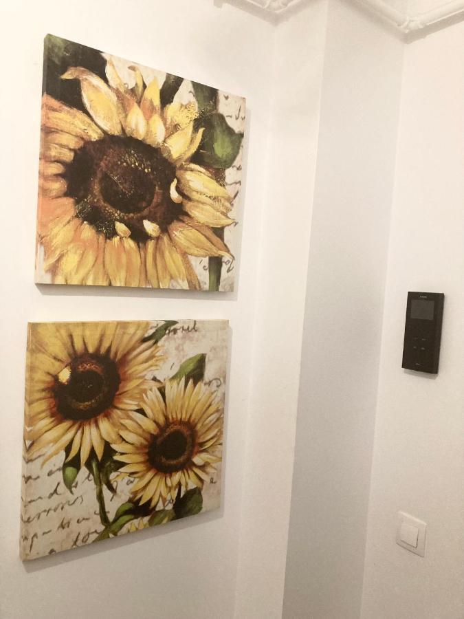 Apartment Sweet Butterflies *