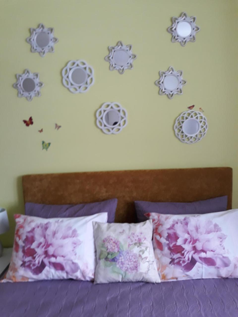Sweet Butterflies Apartment